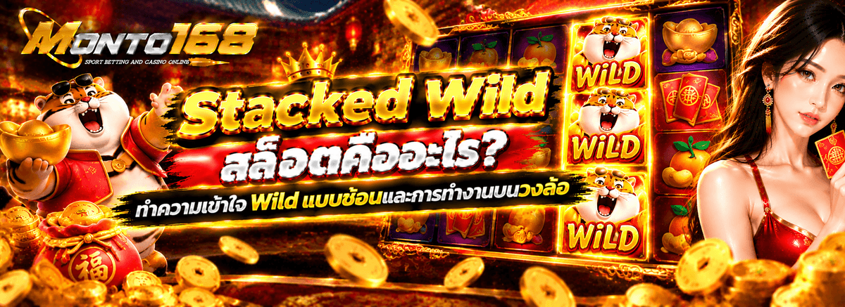 ภาพอธิบาย Stacked Wild สล็อต สัญลักษณ์ Wild เรียงซ้อนกันบนวงล้อและตัวอย่างการทำงาน